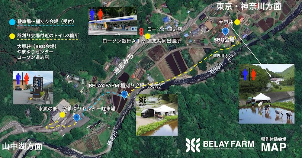 [BELAY FARM] 10/18 (Sun) Rice Farming: Rice Harvesting Experience 