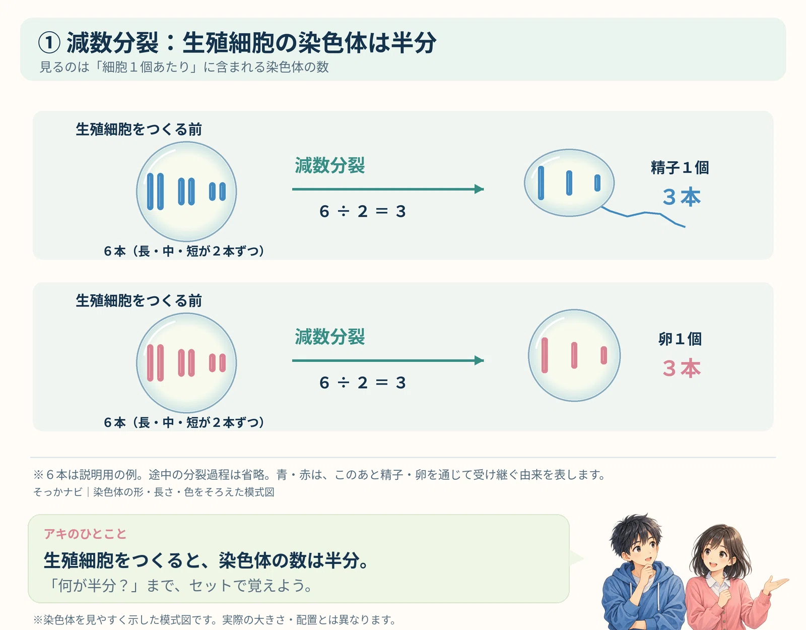 [3rd Year Junior High Science] Are you making the mistake of thinking ...