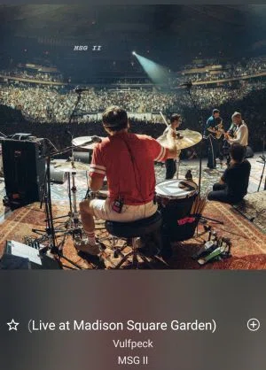 MSG Ⅱ / vulfpeck｜ロンパパの我が家の小さな海が無くなったので