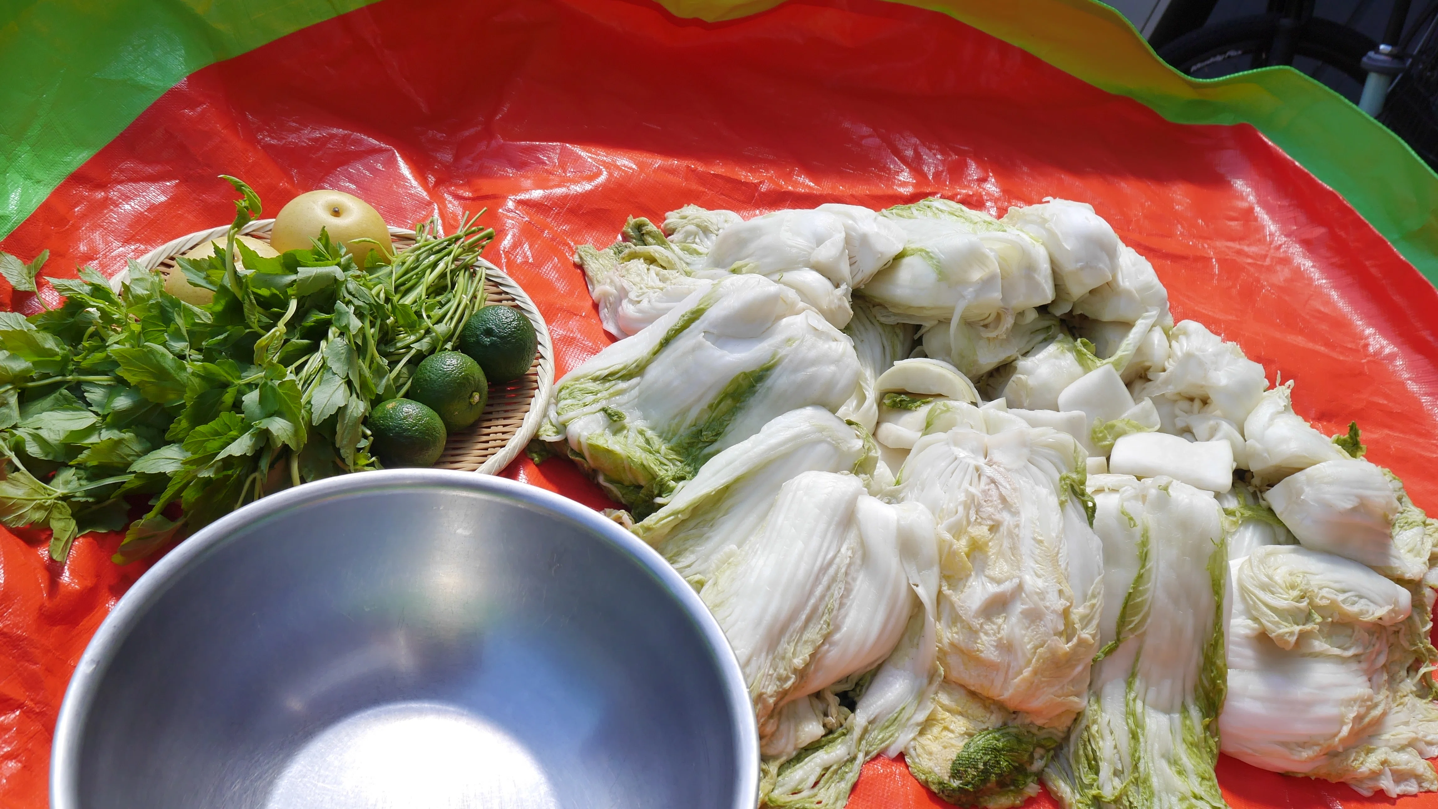 Learning Kimchi, Fermentation, and Shojin from the Fourth-Generation ...