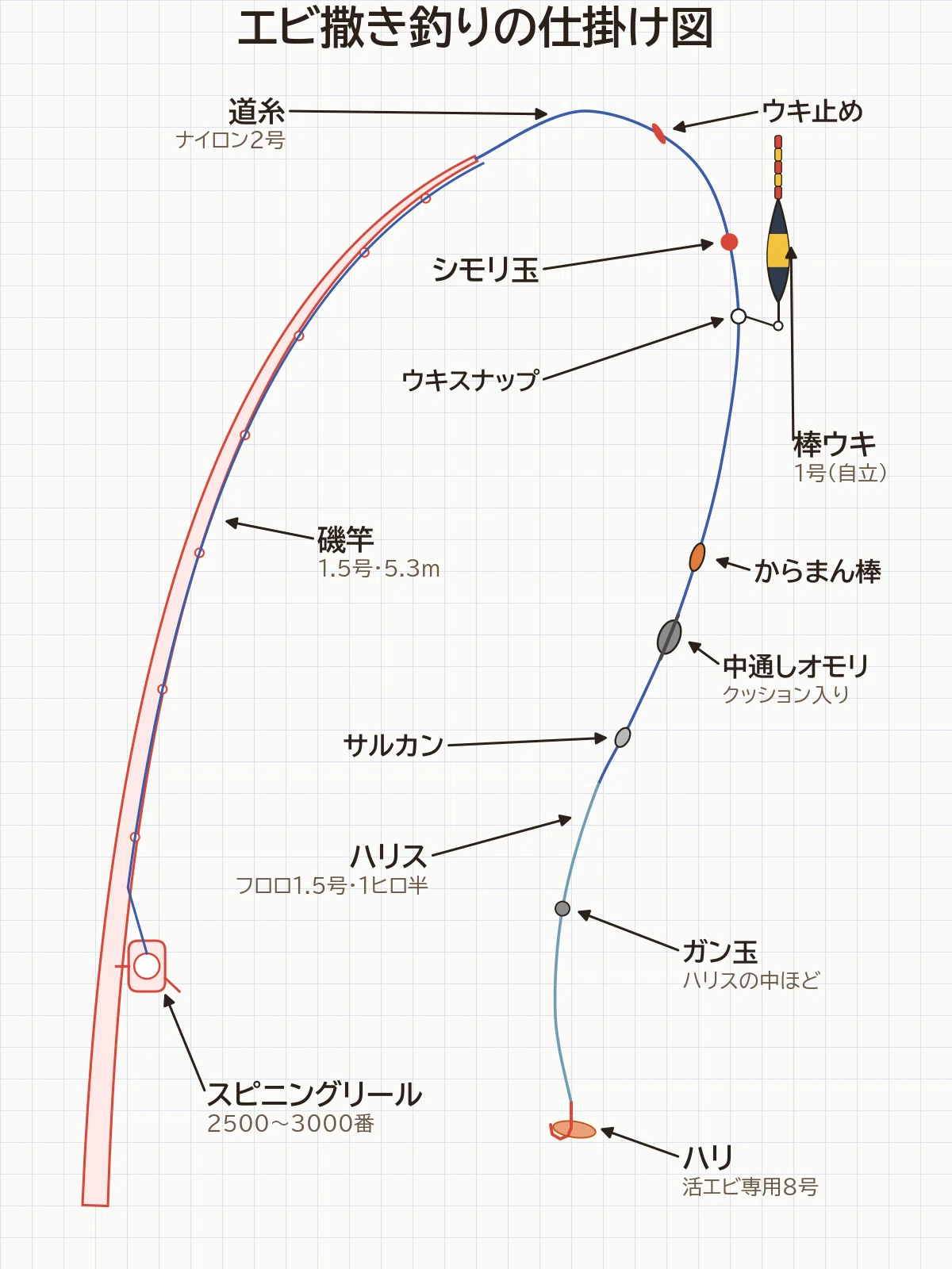 エビ撒き釣りの仕掛け図。磯竿1.5号5.3mとスピニングリール2500〜3000番から、道糸ナイロン2号にウキ止め、シモリ玉、ウキスナップに掛けた棒ウキ1号（自立）、からまん棒、クッション入りの中通しオモリ、サルカンを通し、ハリス フロロ1.5号1ヒロ半の中ほどにガン玉、先に活エビ専用8号。