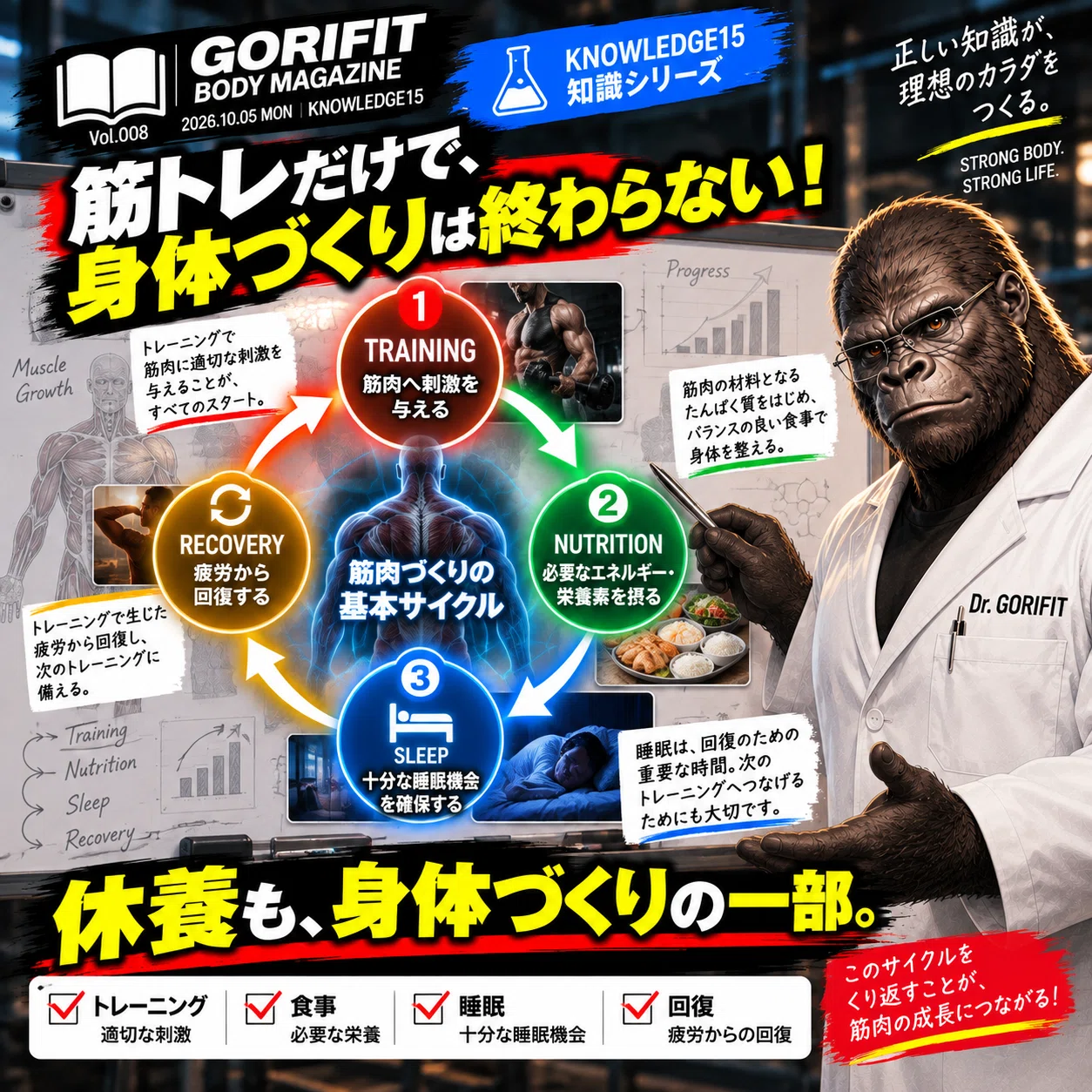 🥼 GORIFIT KNOWLEDGE 15 Do muscles grow even while you rest?｜ゴリフィット