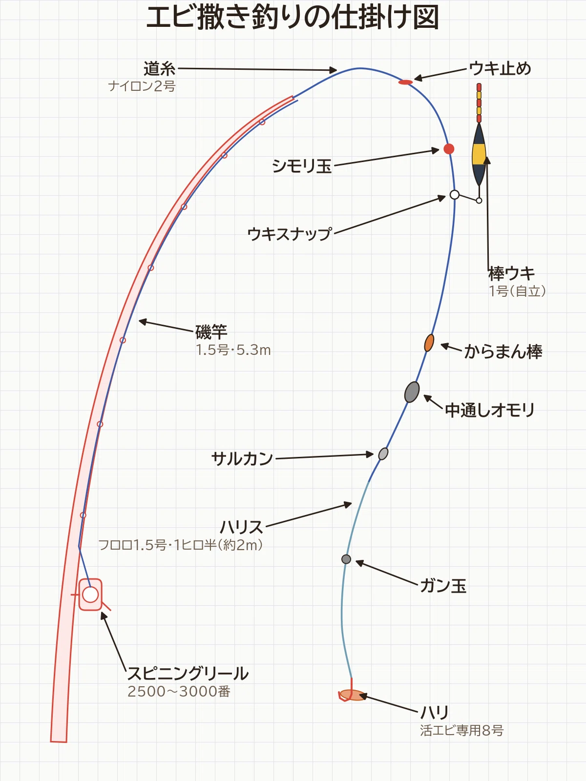 エビ撒き釣りの仕掛けと道具一式の図。磯竿1.5号5.3mとスピニングリール2500〜3000番、道糸ナイロン2号にウキ止め、シモリ玉、ウキスナップに掛けた棒ウキ1号（自立）、からまん棒、中通しオモリ、サルカン、ハリス フロロ1.5号1ヒロ半（約2m）の中ほどにガン玉、先に活エビ専用8号。