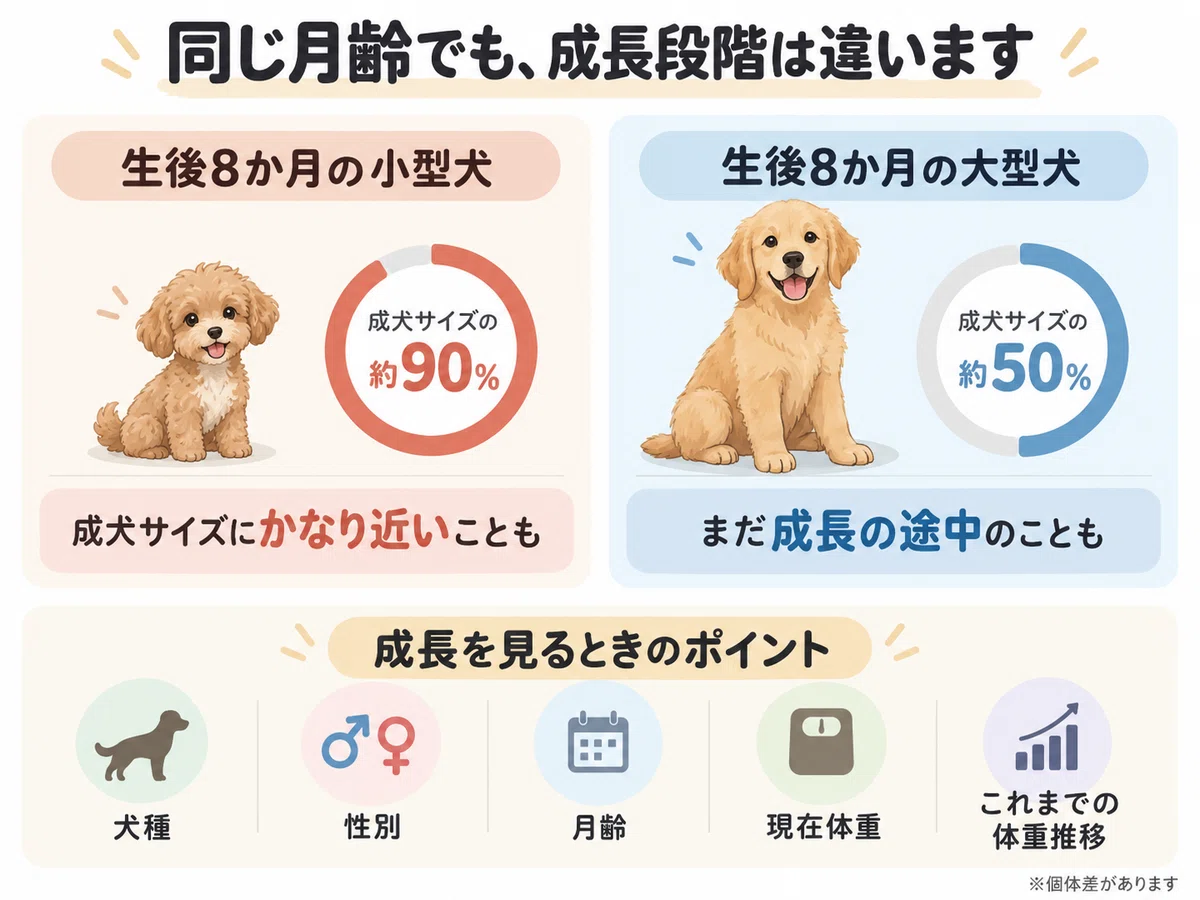 [Growth Period] Until when does a puppy's weight increase? Growth pace ...