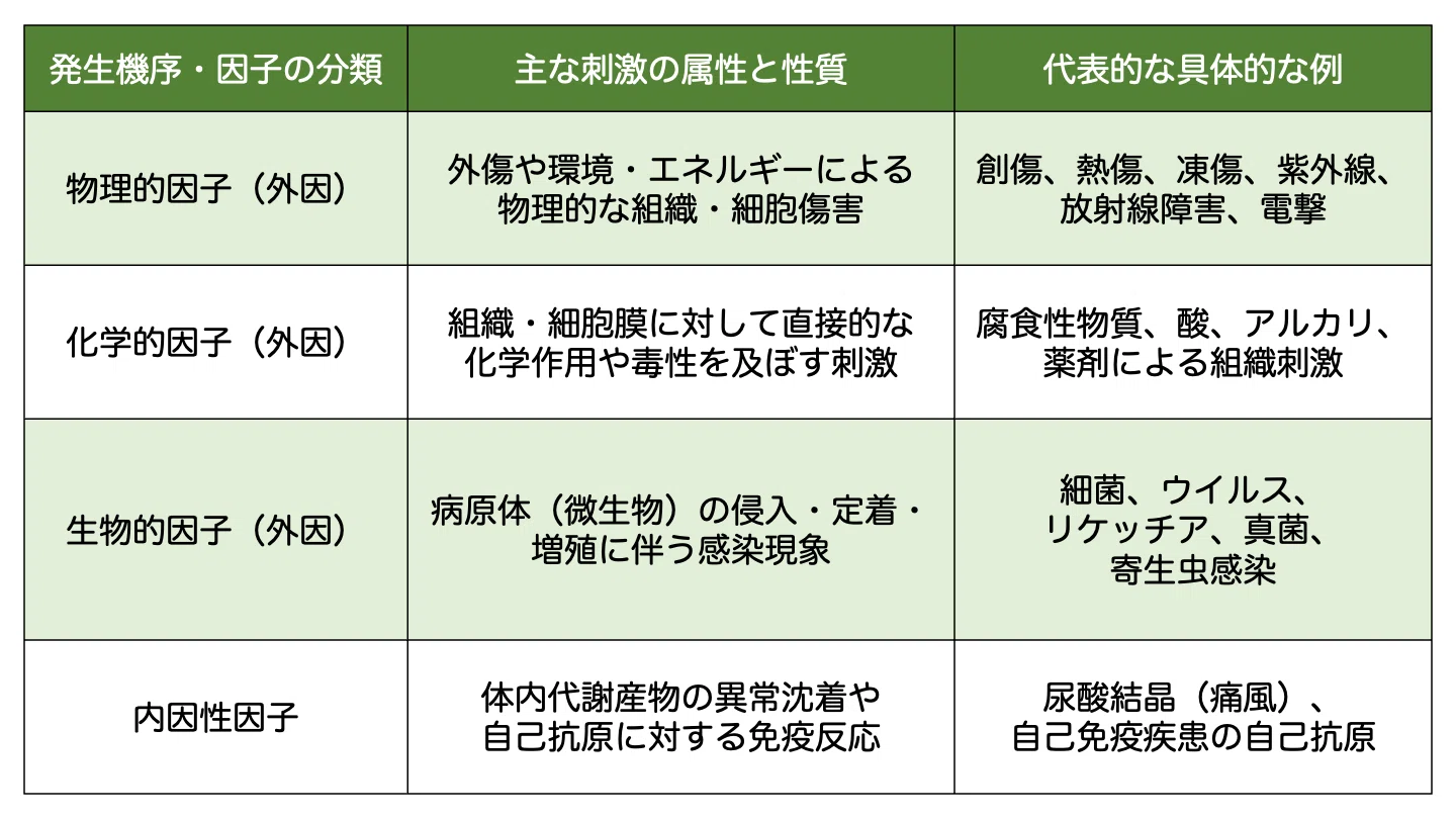 Paramedic 47th National Exam A-Question 13｜iZONE