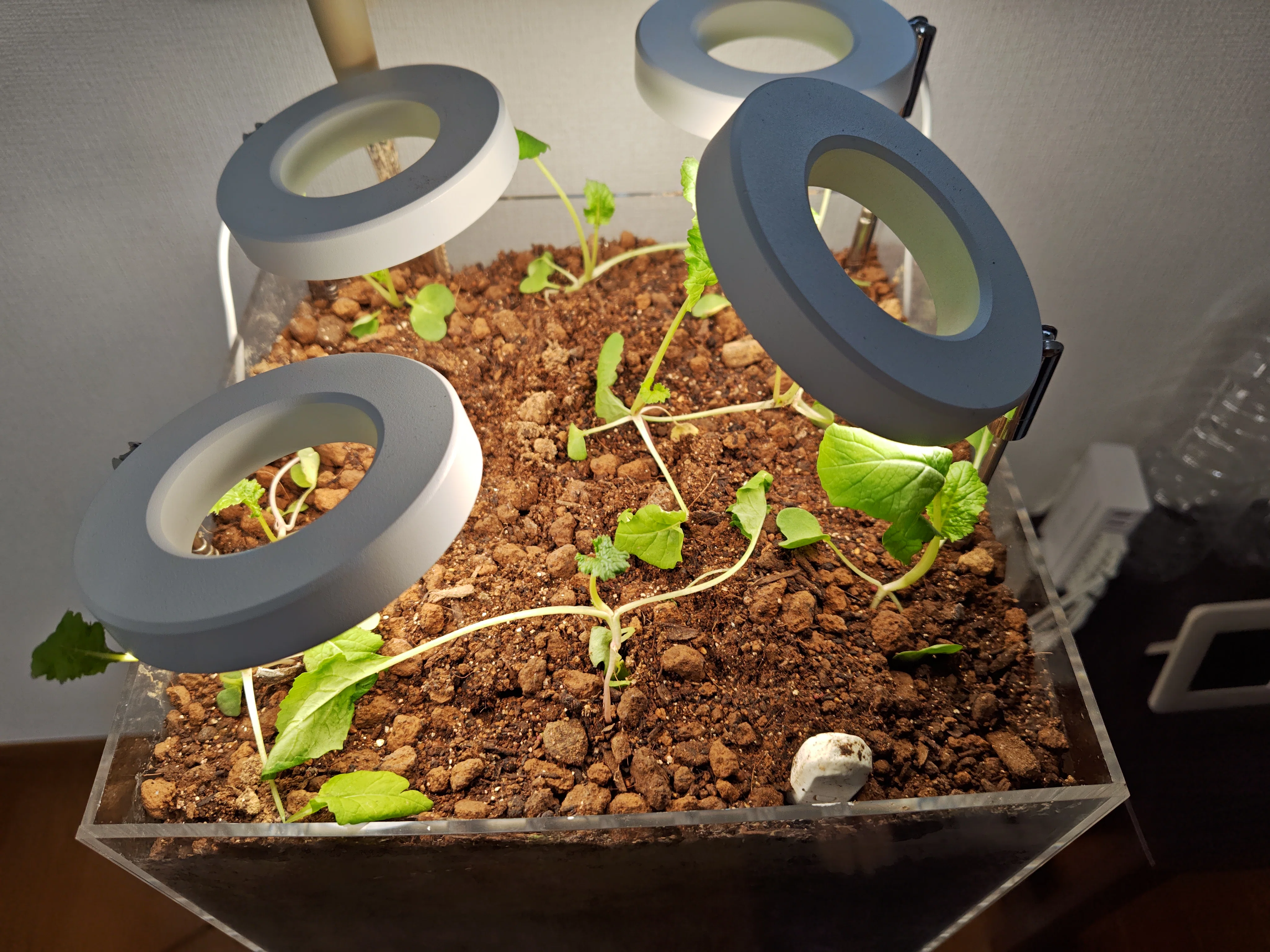 (Patent Pending) Stackable Plant Growth Unit Hitomi_Cube Verification ...