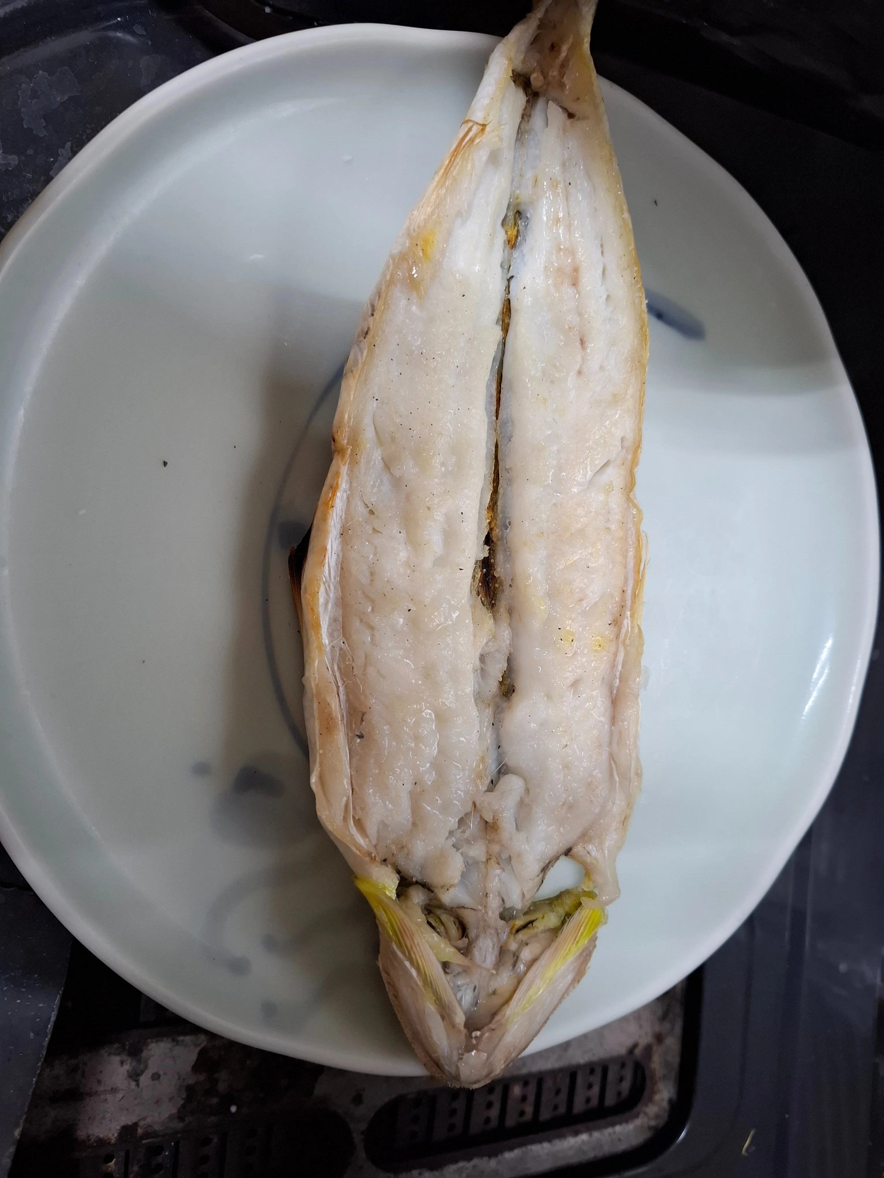 Awaji Island Catch: Enjoying Large Conger Eel, Lizardfish, Small Horse ...