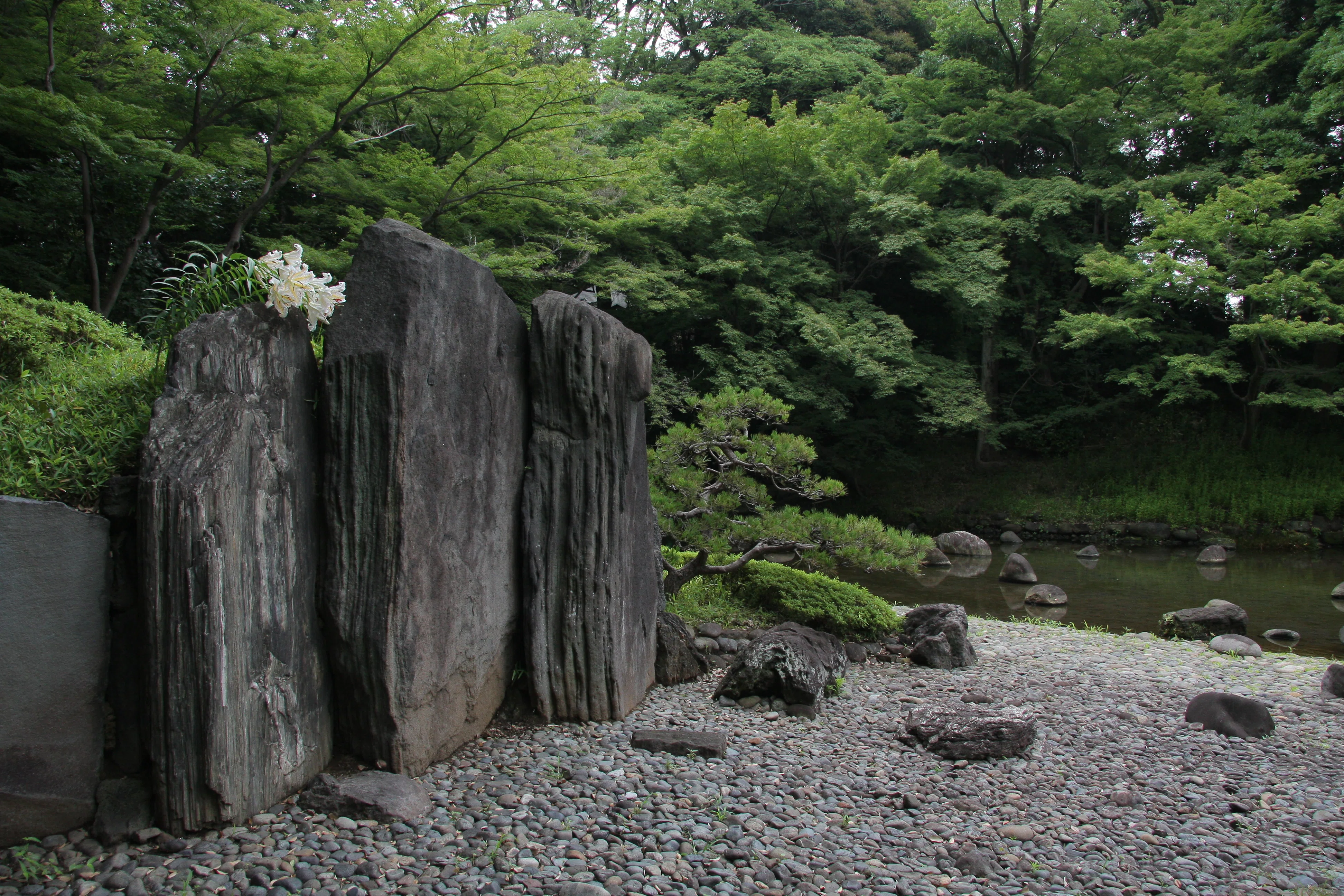 To meet the lotus from three months ago. Mito Mitsukuni's 'Hitotsumatsu ...