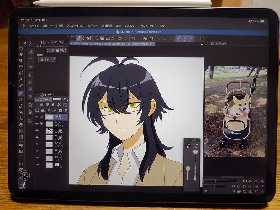 [For Beginners] How to Start Digital Illustration | PC or iPad?｜nakachi ...