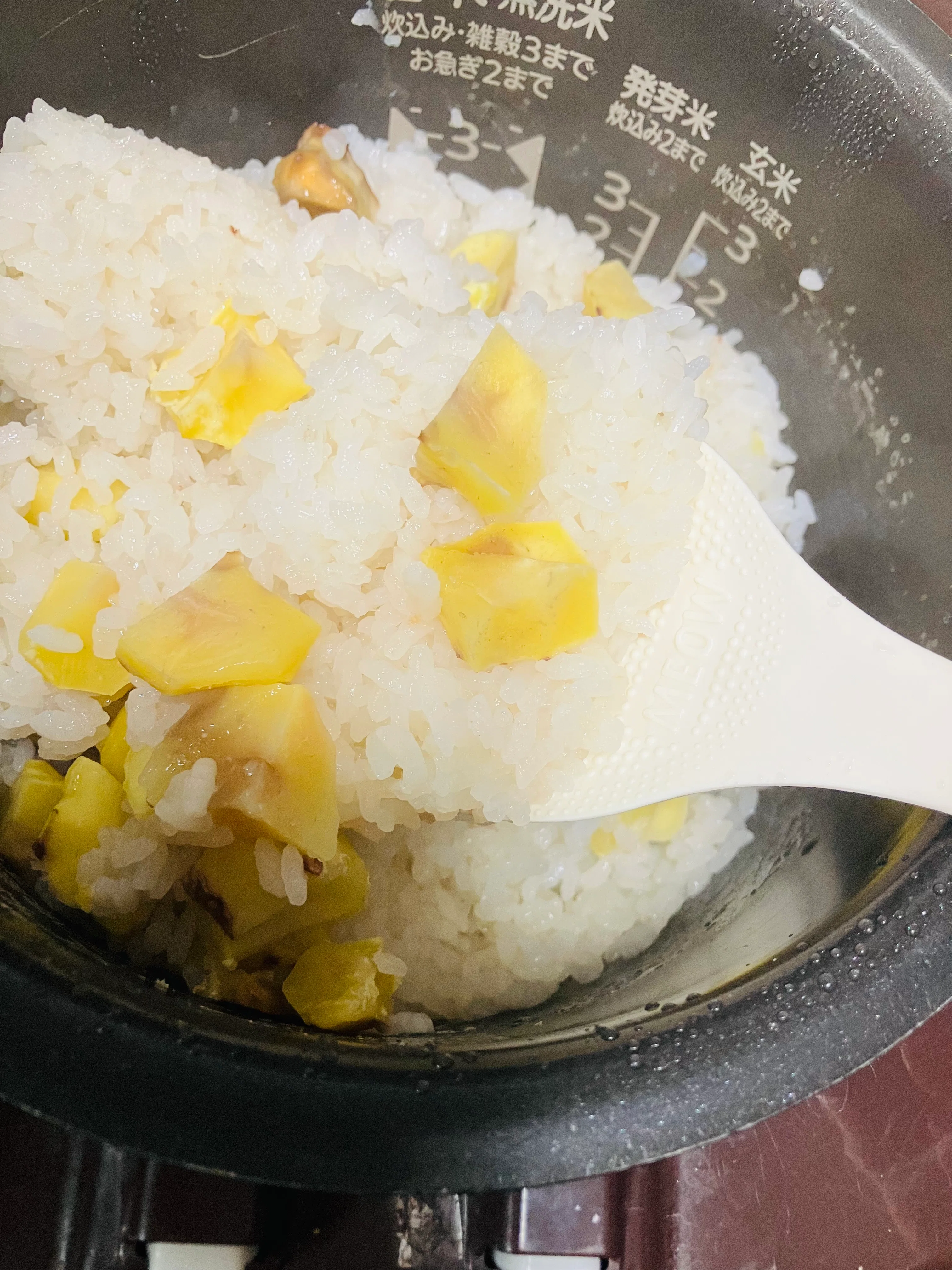 Dinner with just one main dish | Chestnut rice, stir-fried eggplant and ...