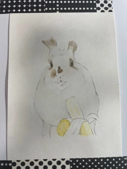 I feel a girlish excitement after discovering the Ohuhu Watercolor ...