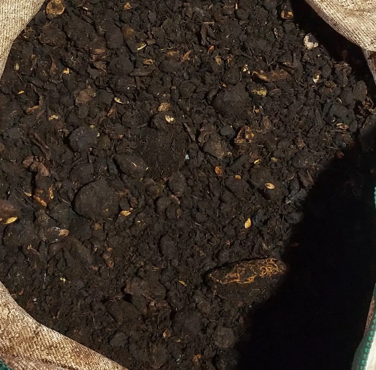 Do food scraps decompose and disappear?｜garbage-in