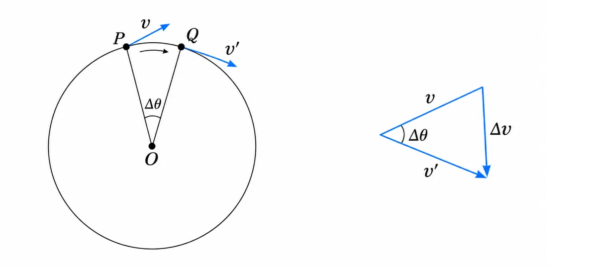 Summary of Circular Motion Formulas: Understanding Period, Speed ...