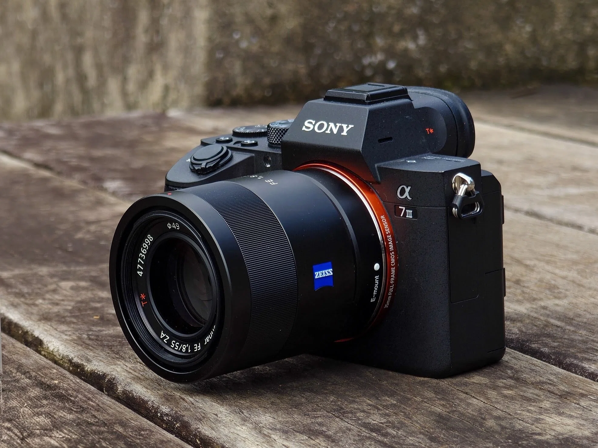 SONY FE 55mm F1.8 ZAを使用した感想｜うさぎとかめまる