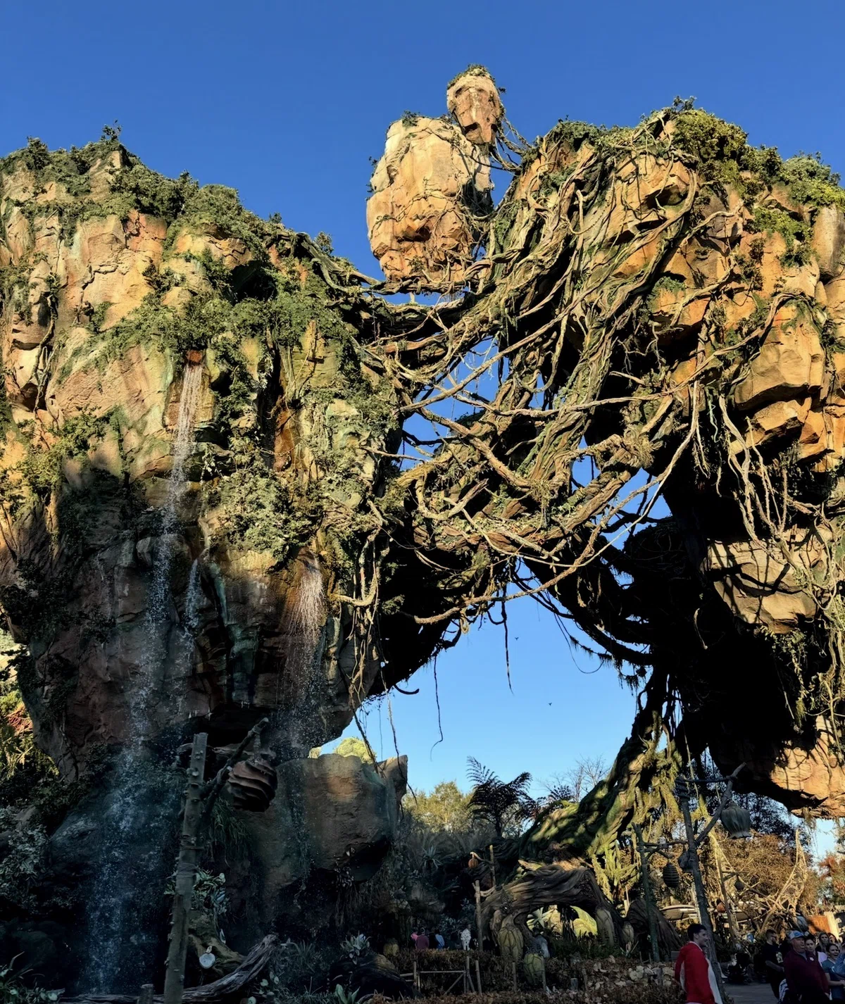 Feb 2026 WDW & USF ⑨ Animal Kingdom & Magic Kingdom｜Mm