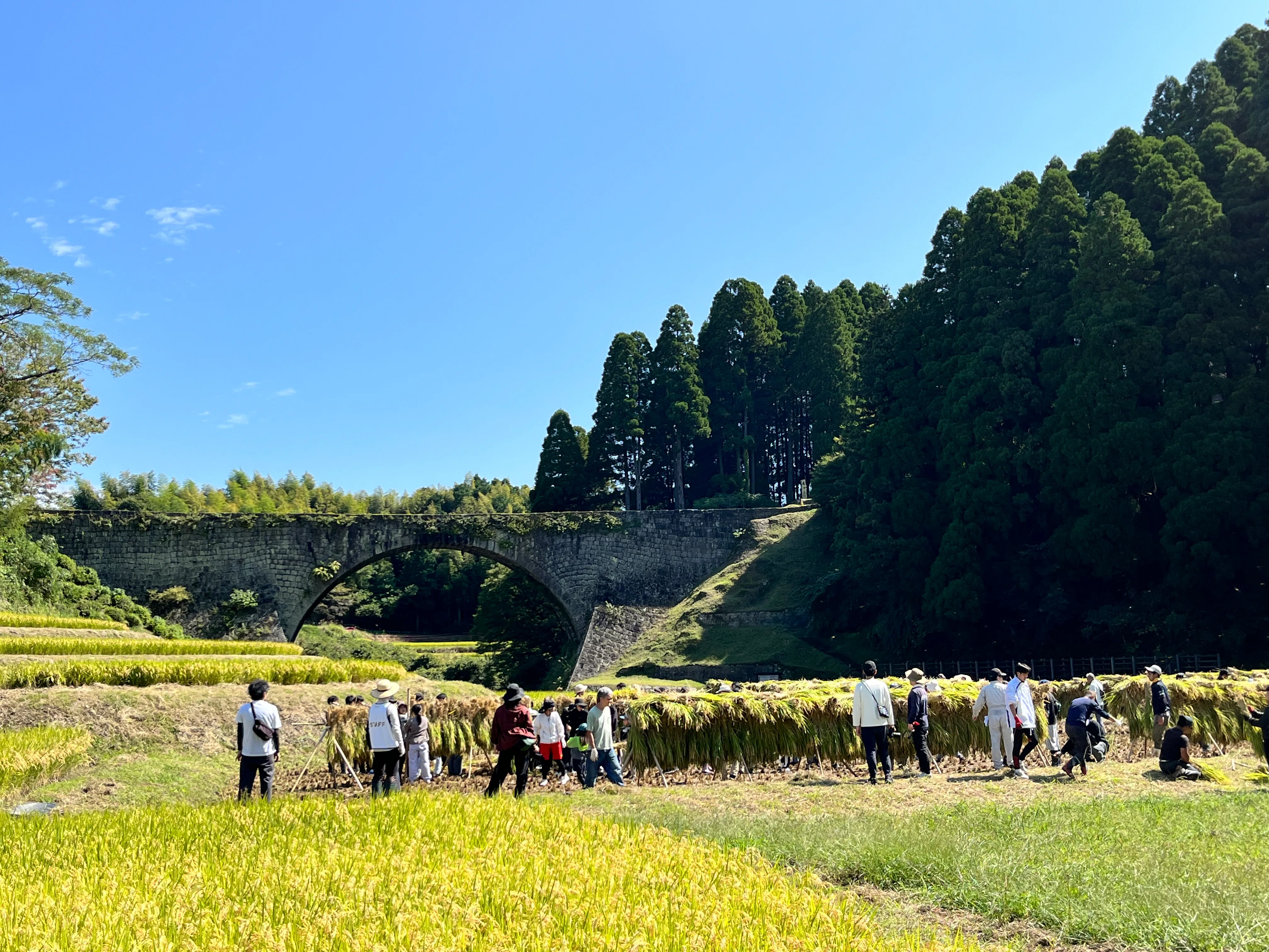 Tsujunkyo Bridge Surrounded by Nature (Reporter Taisei)｜くまモン記者団