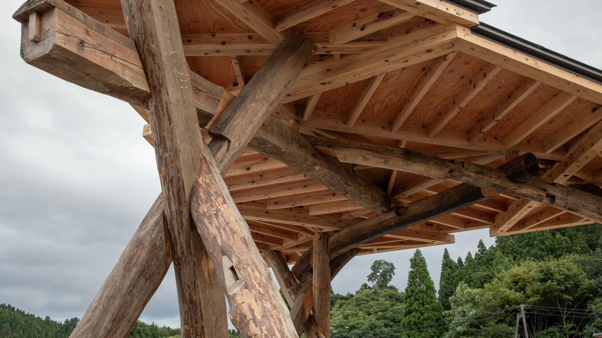 VUILD Conducts First 12-Day Architectural Education Program in Japan ...