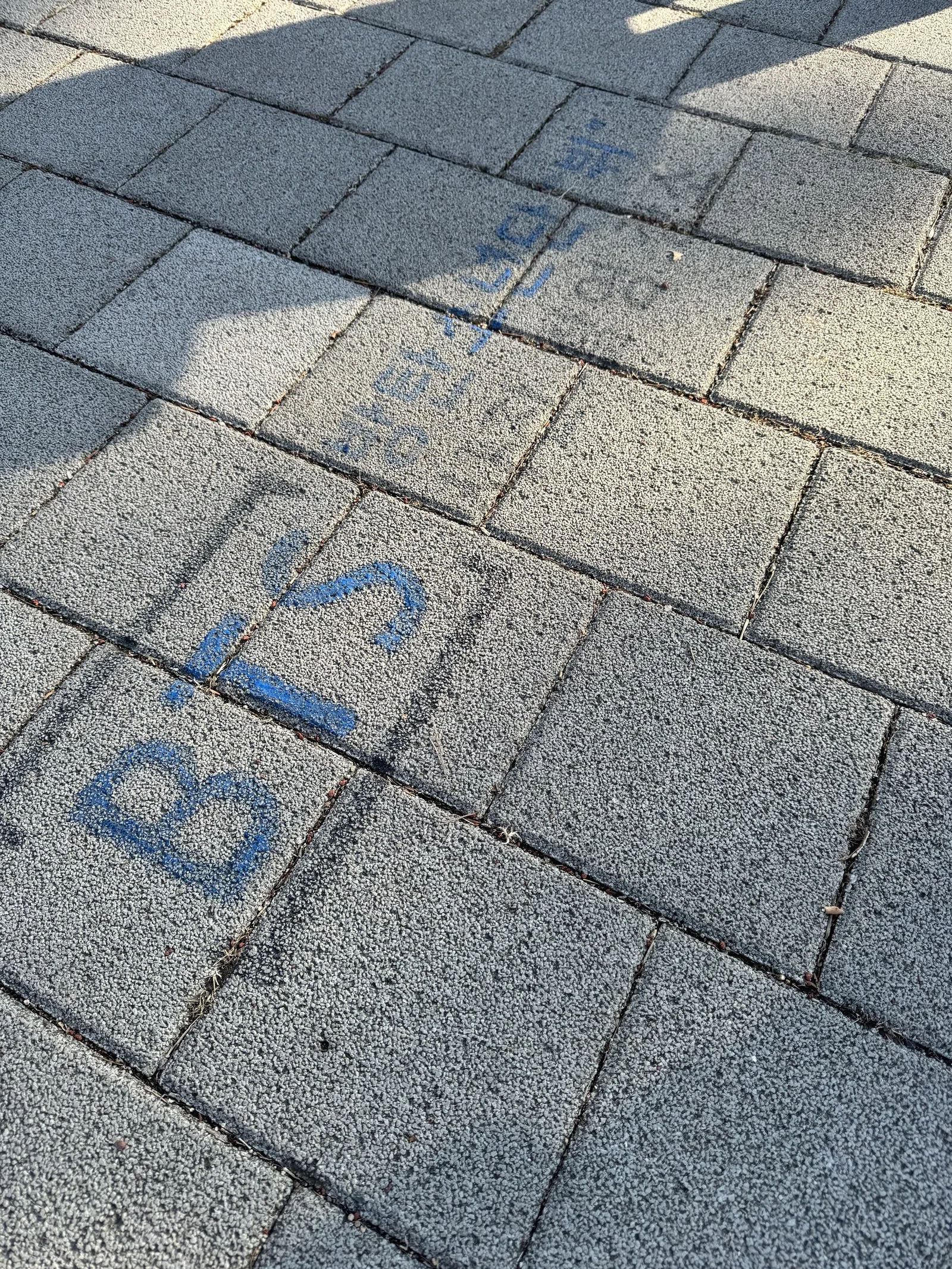 Visiting the Location of BTS V's Photo | A Guide to Busan Citizens Park ...