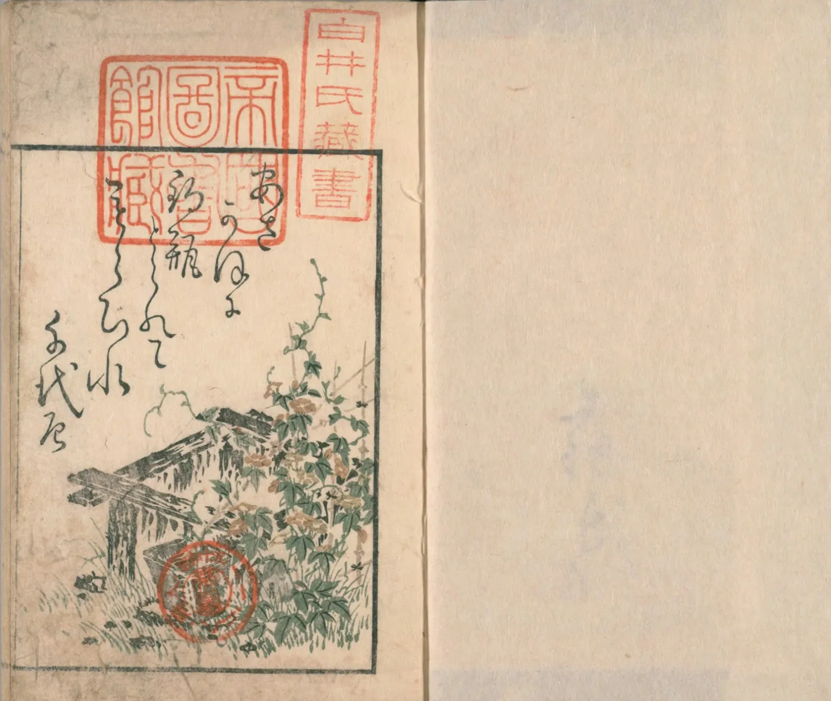 花壇朝顔通（6）巻二序／乱獅々／鼠髭｜mominaina