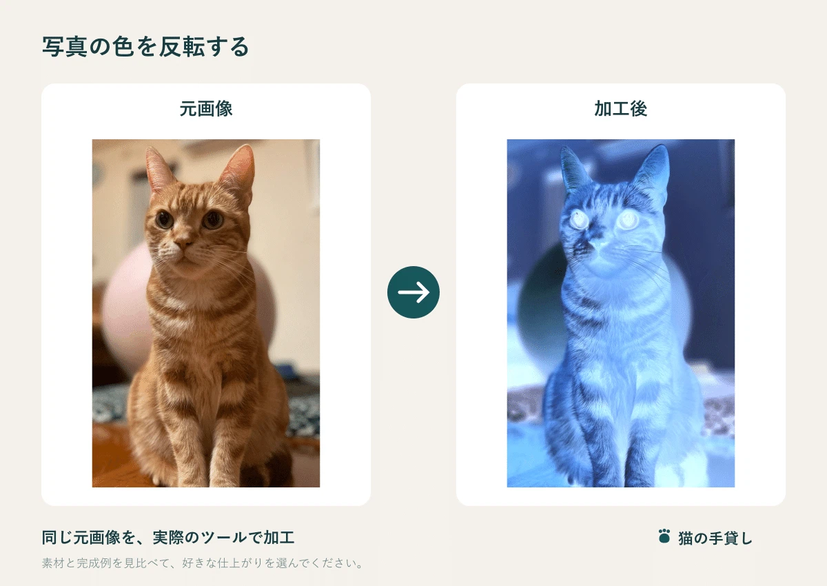 Free Color Inverter Invert Photo Colors | Free Negative-Positive Film Style Processing|まるお