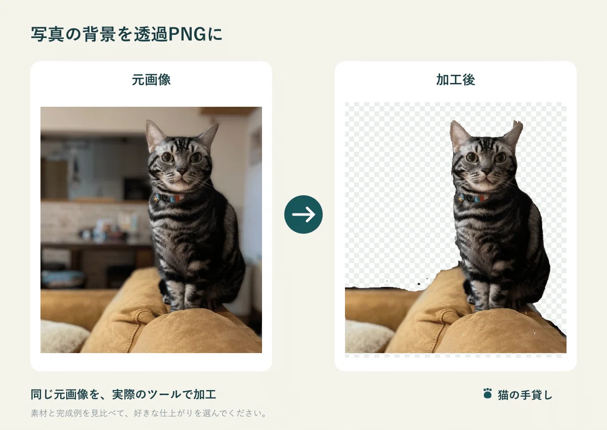 Make Photo Backgrounds Transparent PNGs | Free Tool to Cut Out by ...