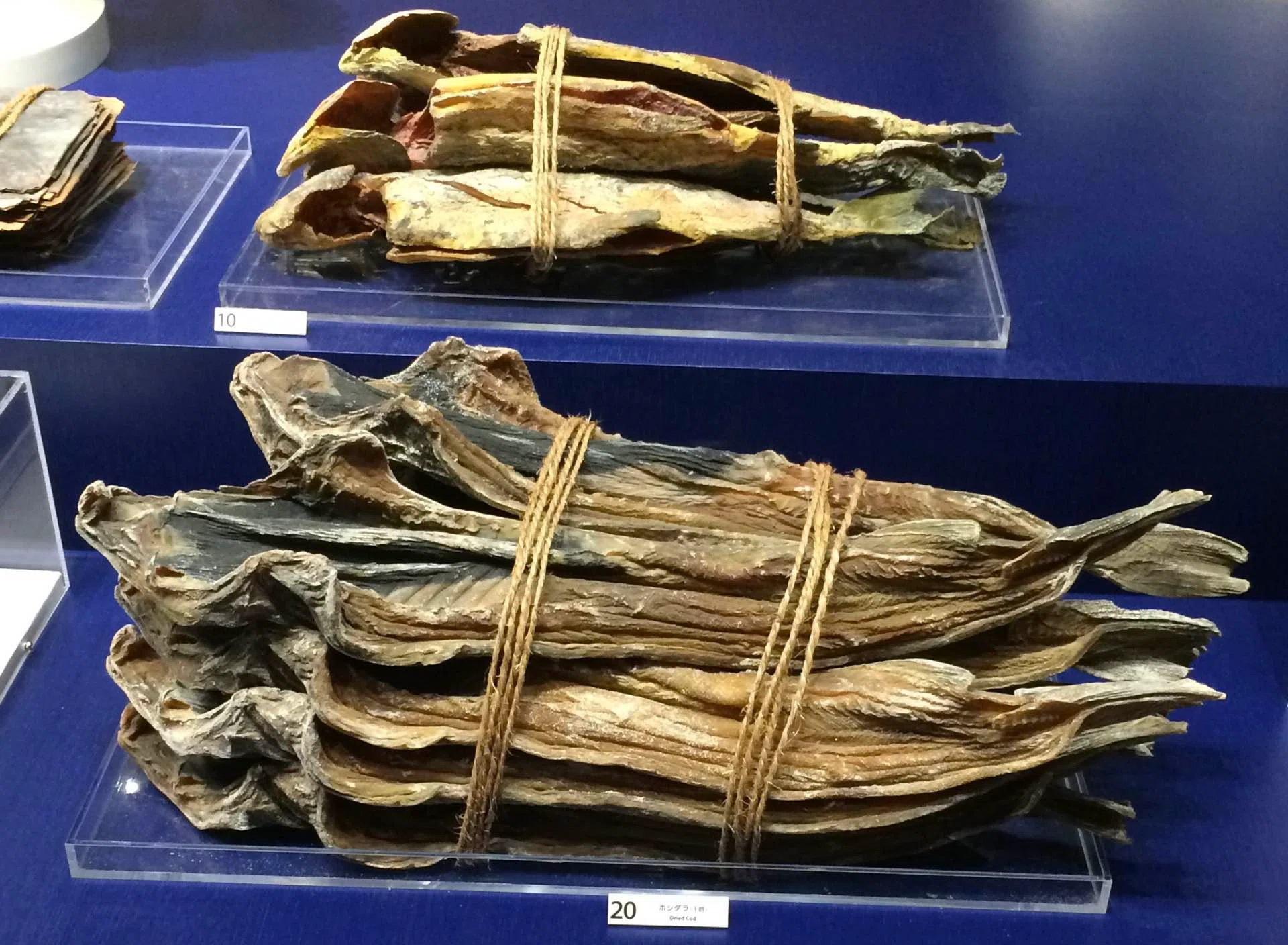Sapporo, Hokkaido / Salmon: Historic Hokkaido Seafood Conveying a ...