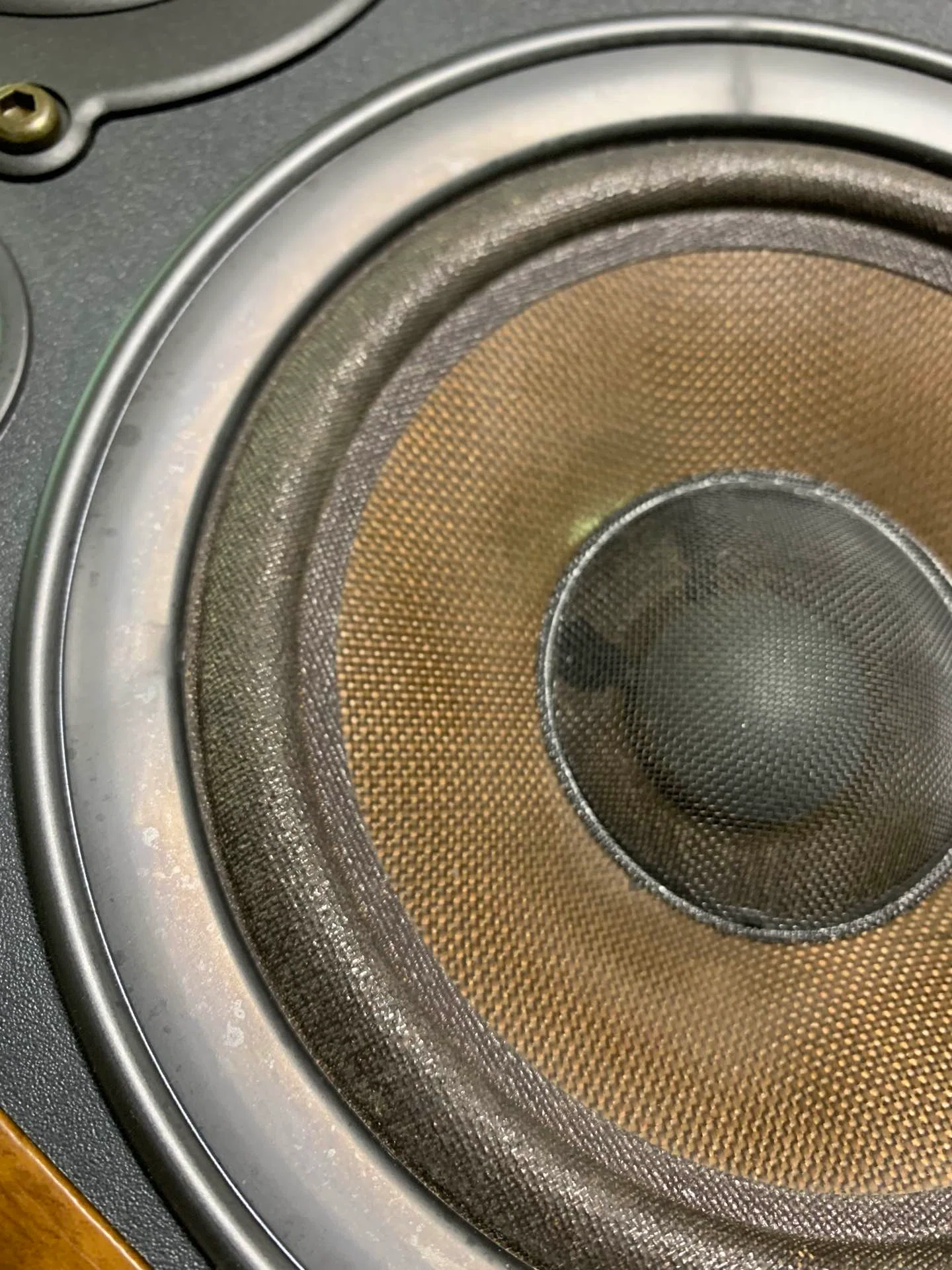 DIATONE DS-200Z、今度はコレ！｜十里木の柴犬ニコちゃん