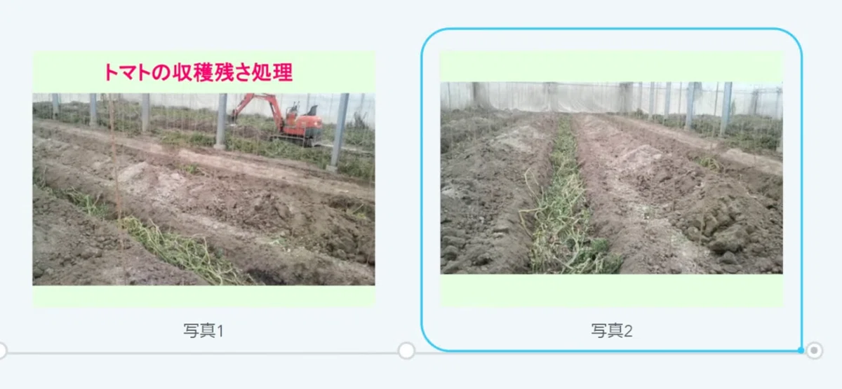 [Practical Guide] Soil Preparation Using Raw Organic Matter! Effective ...