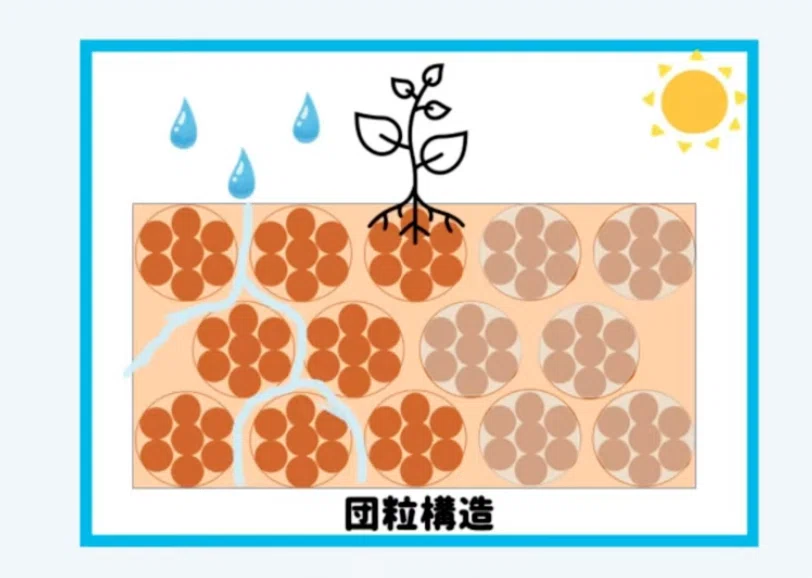 [Learning in the Field] [What is Good Soil?] Basic Concepts of Soil ...