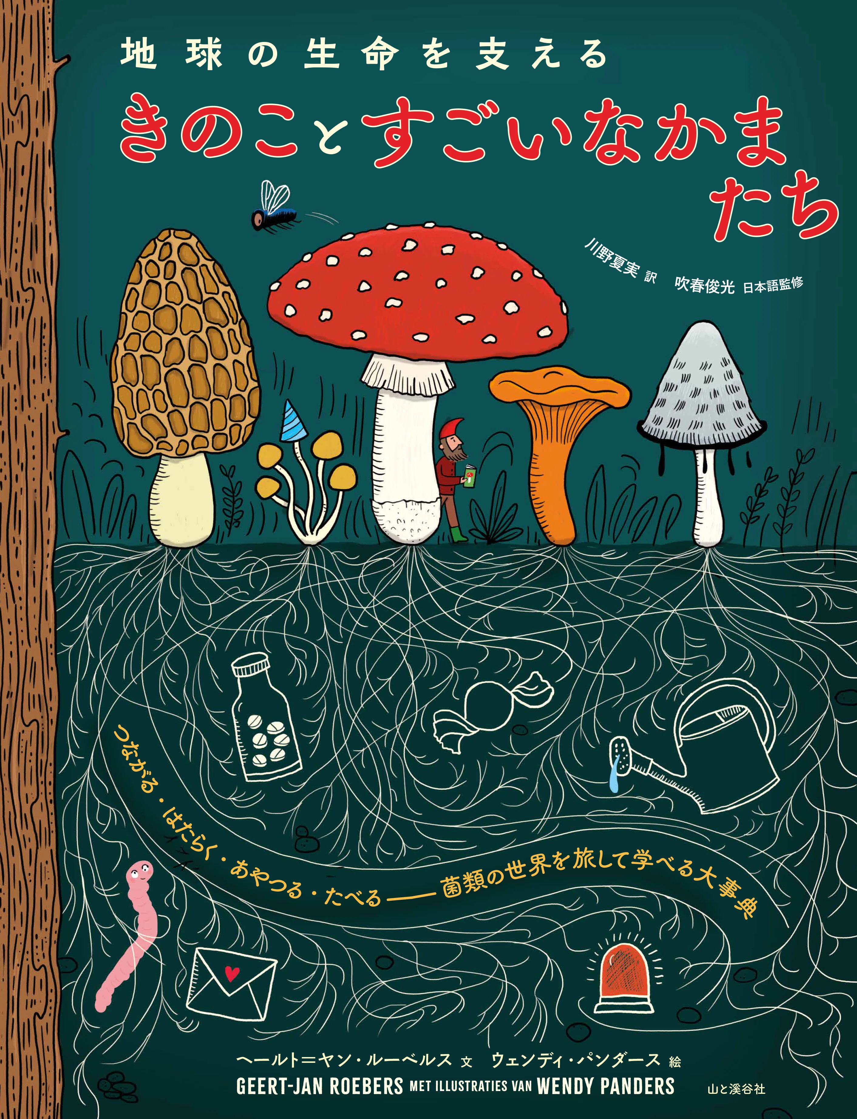 A Science Picture Book for All Ages: 'Fungi and Their Amazing