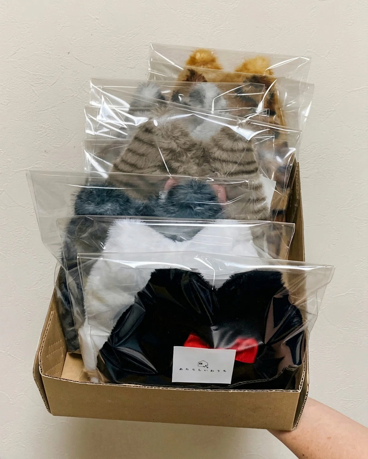 Shipping preparation for the day all 9 patterns of the 'Cat-Shaped Fur ...