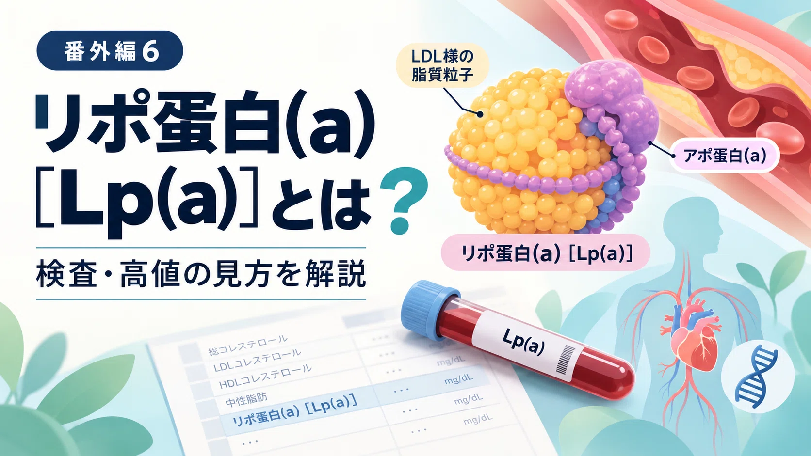 What is Lipoprotein(a) (Lp(a))? What happens if it is high ...