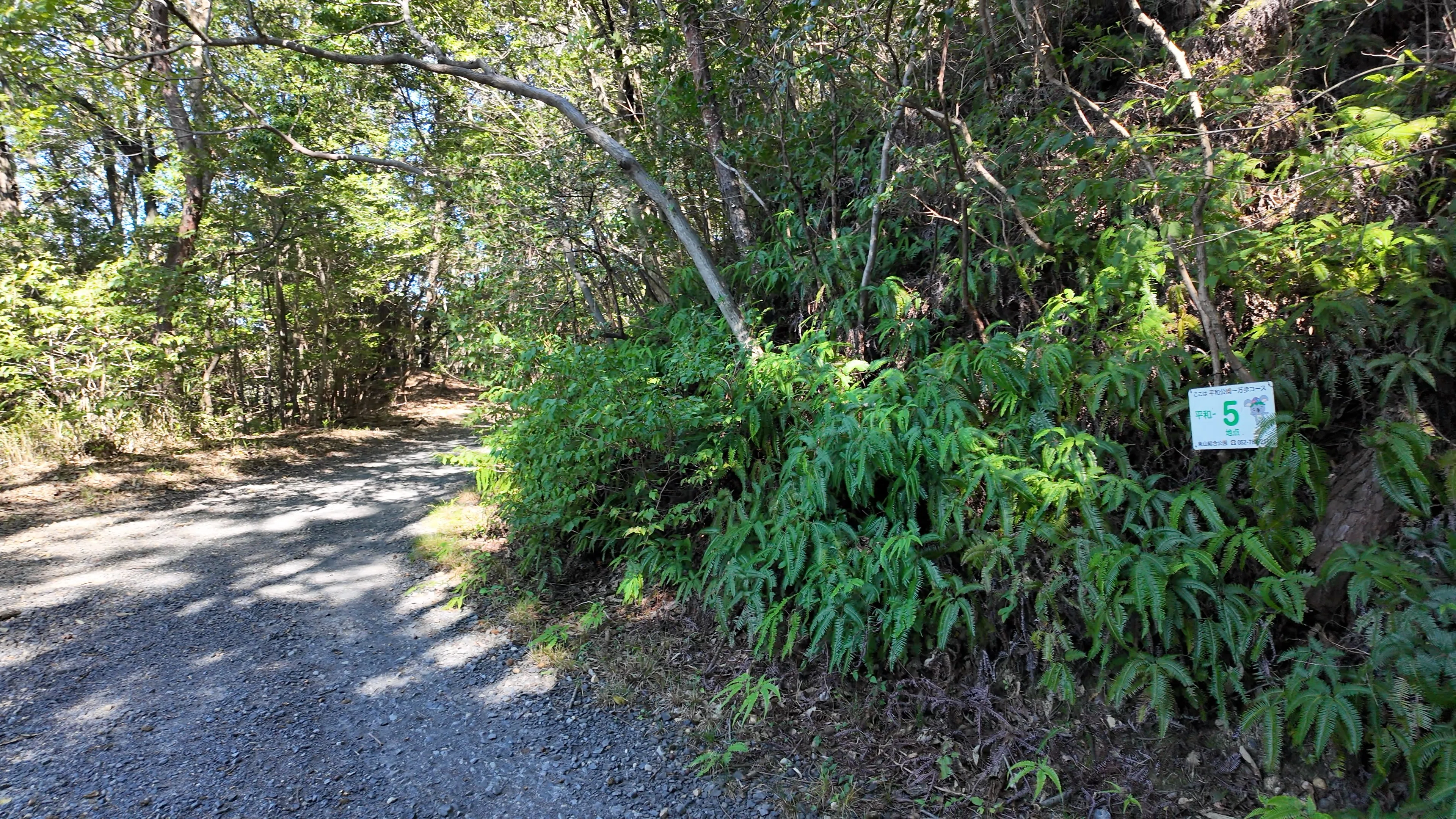 [Heiwa Park Kurashi no Mori] A forest walk in early October, from the ...