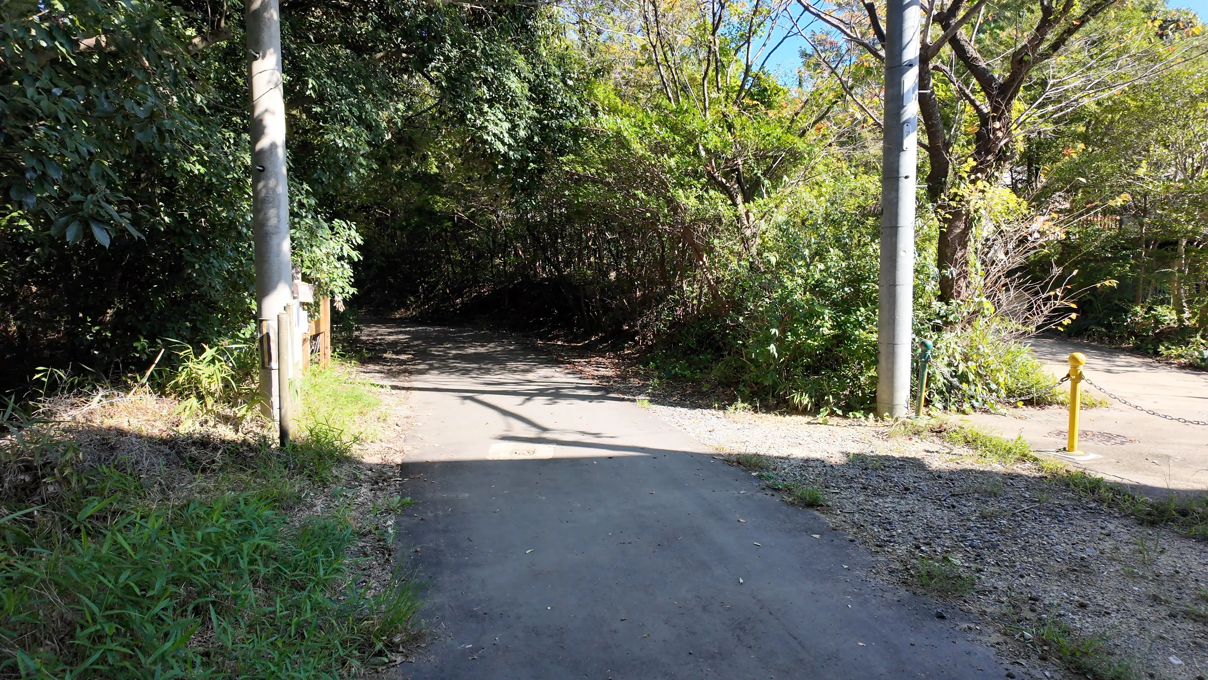[Heiwa Park Kurashi no Mori] A forest walk in early October, from the ...
