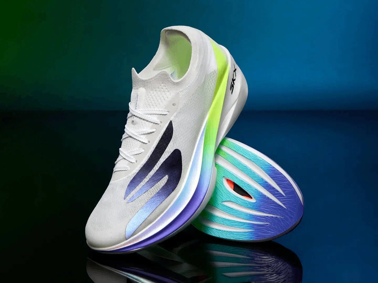 [HALOrun News] Latest Running Shoe News to Watch! Comparing 4 New ...