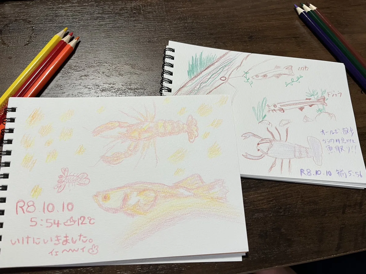 [Essay / 3-Color Picture Diary] 3:00 AM, We Chased Small Fish in the ...