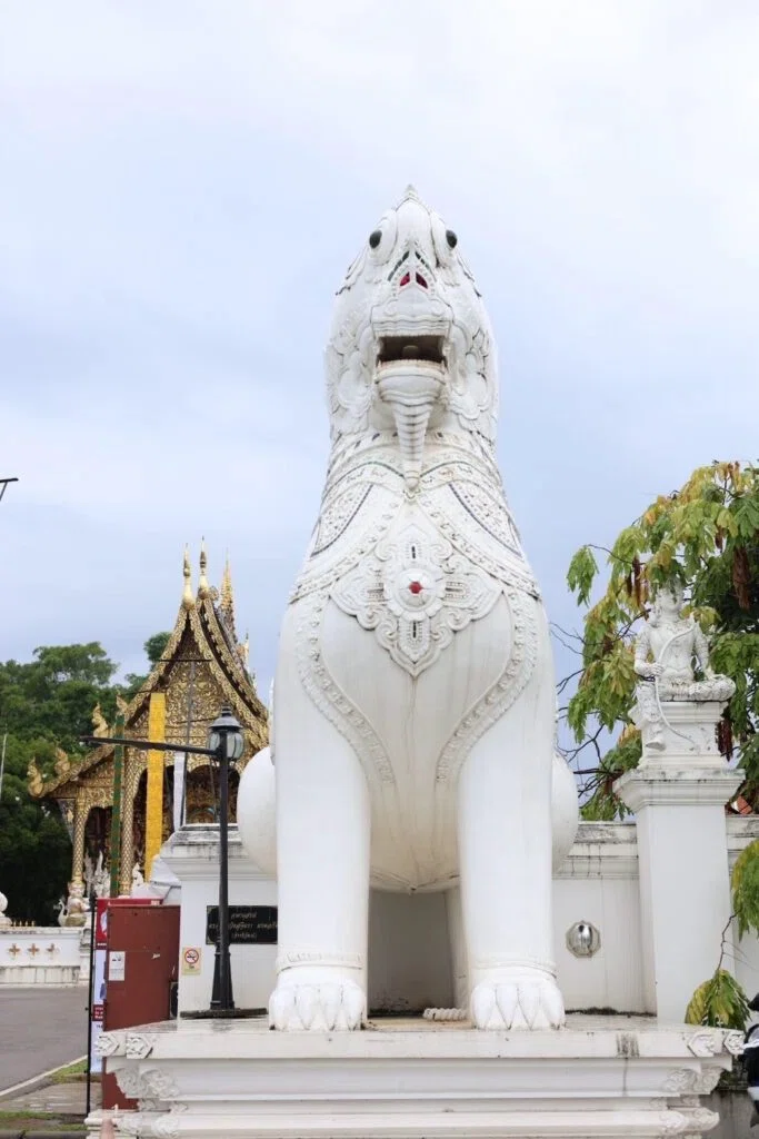 Meeting 'Ma-chan' in Chiang Mai: The Day I Made an Unforgettable Friend ...