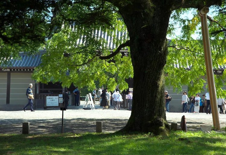 Kyoto Stroll: A Photo Walk on the First Day of the Long Weekend, Taking ...
