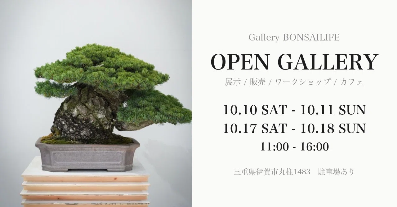 Visit OPEN GALLERY on October weekends. We are opening our Bonsai Life ...