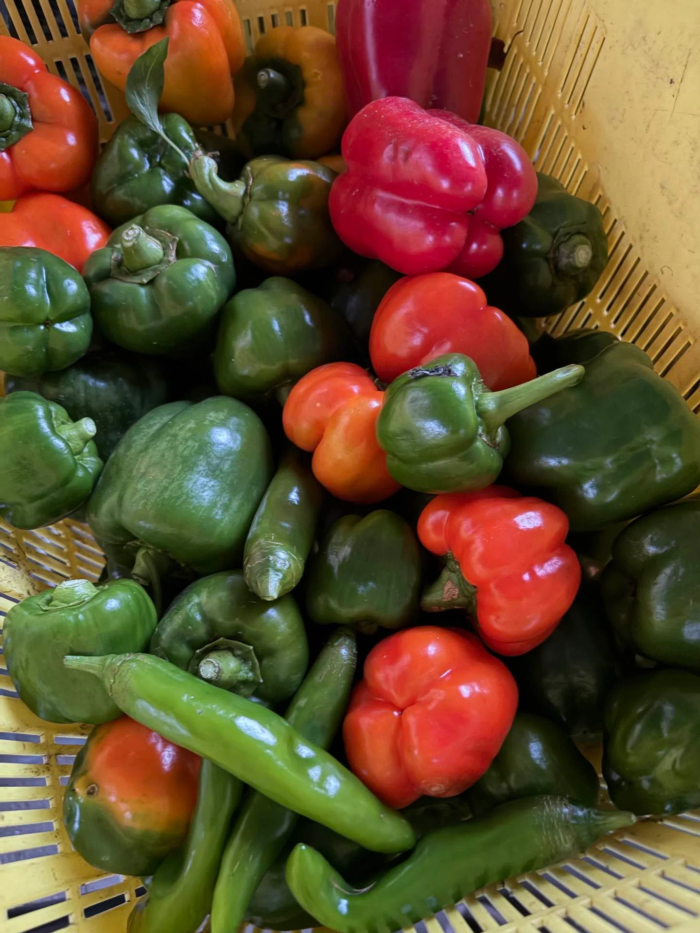 Vegetables and Cooking. 14｜be natural