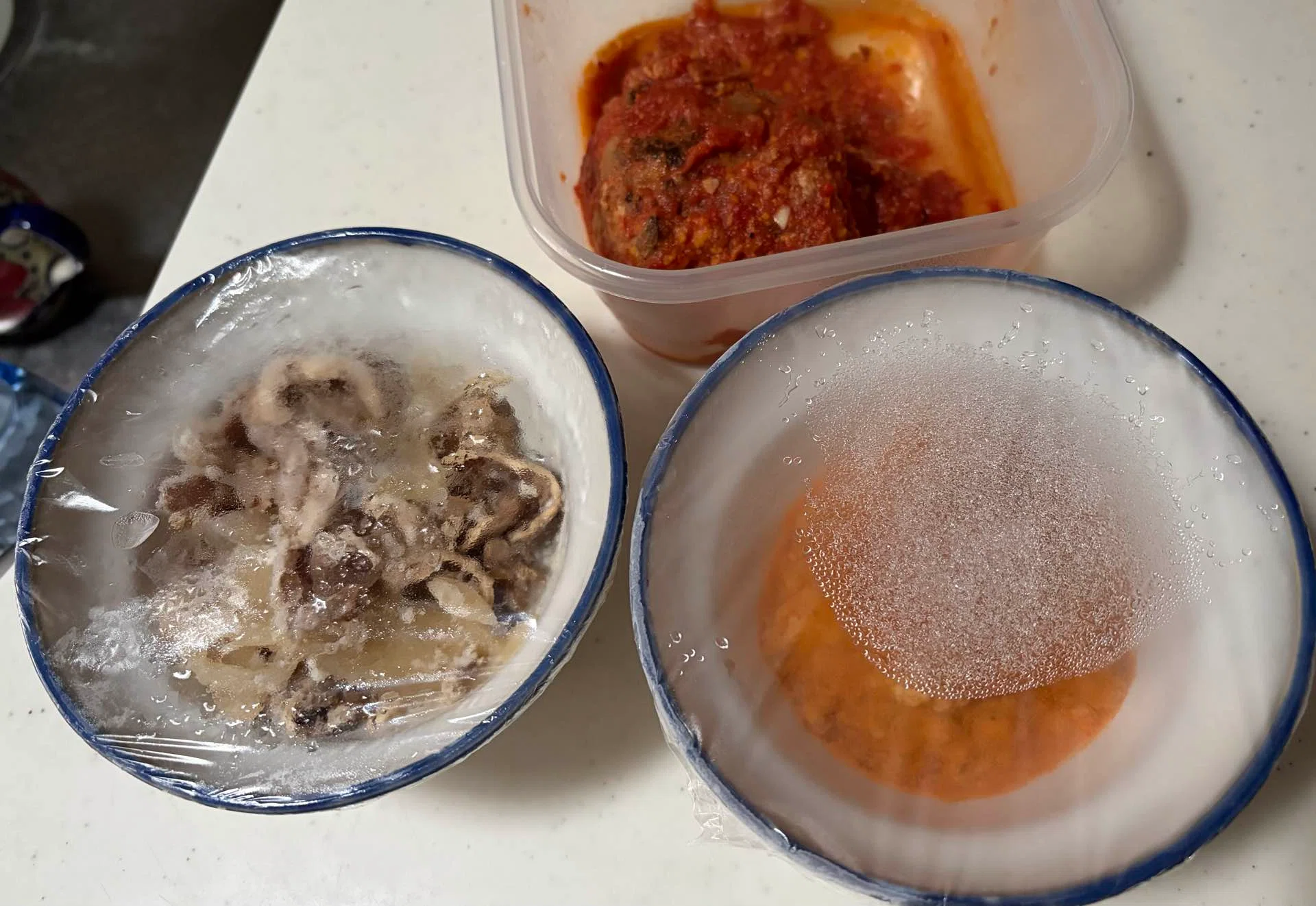 Saga Souvenir Chicken Rice: Grocery Shopping Resumes After 4 Days｜けいれい