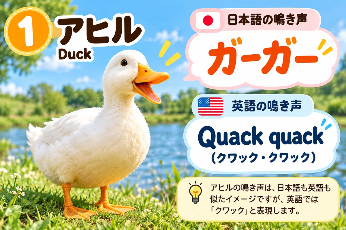 So Different Between Japan and the US! 5 Animal Sounds Part 2 [World ...