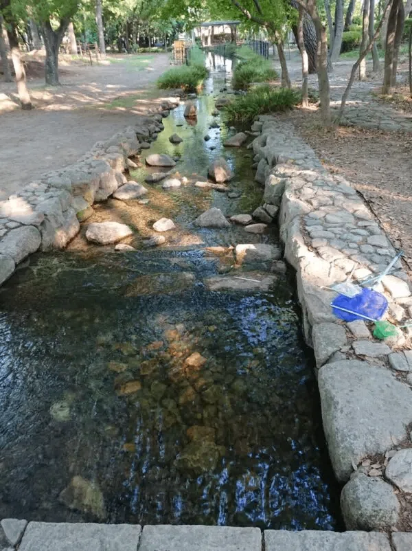 [Itami City] Crayfish Fishing at Koyaike Park | Shallow and Kid ...