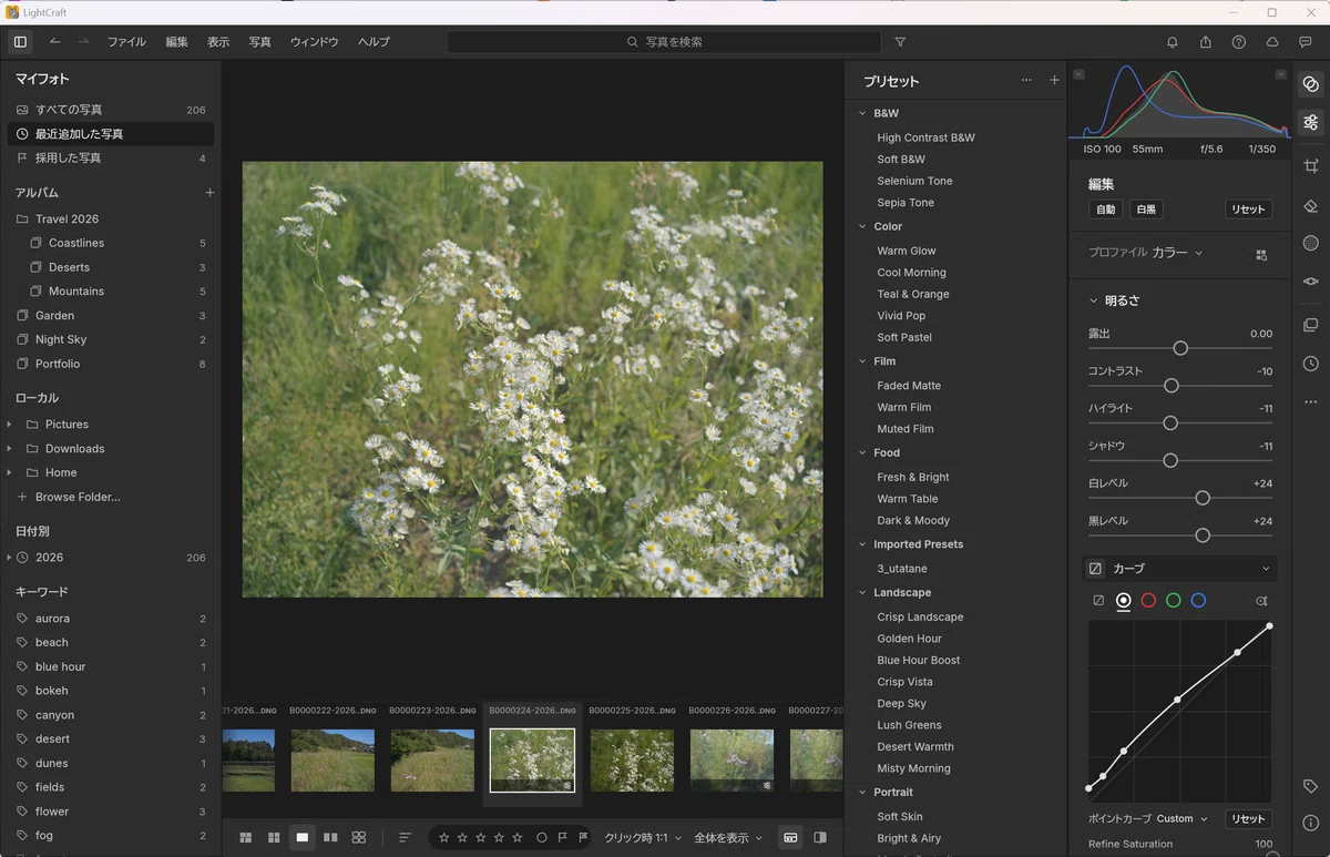 [Short Note] Trying out a Rinko Kawauchi-style preset in 