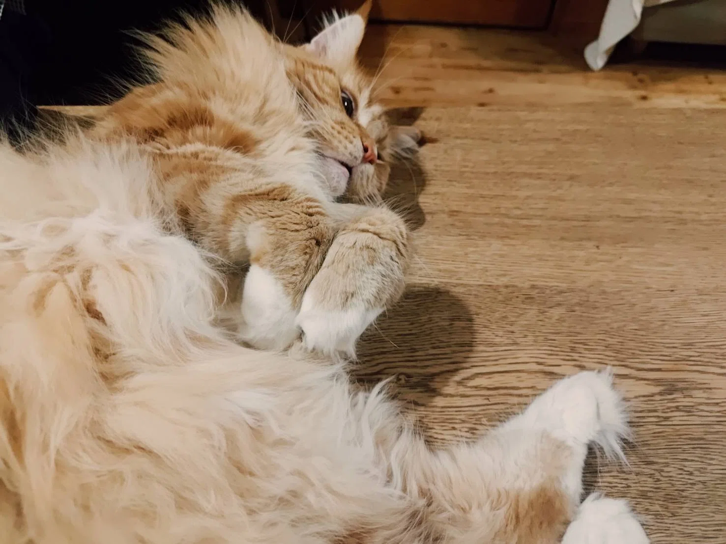 A collection of comfortable songs that remind me of summer (K-POP, C ...