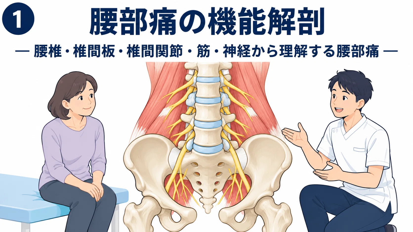 腰痛の機能解剖と理学療法｜腰椎・椎間板・椎間関節・筋・神経から学ぶ