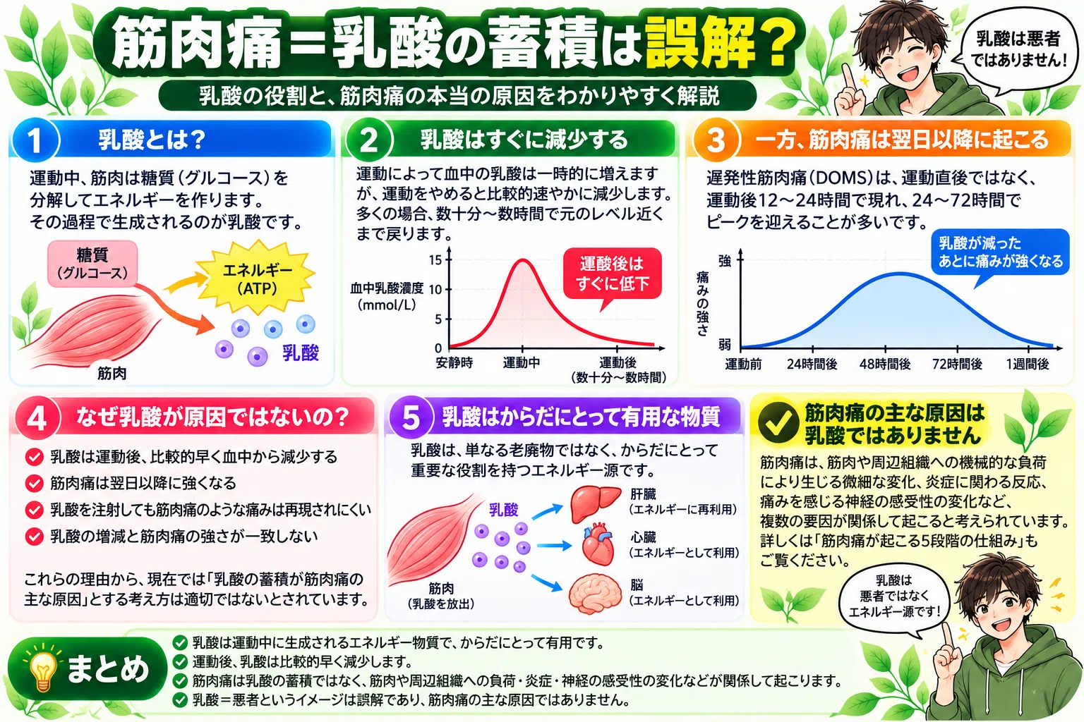 【The Mechanism of Muscle Soreness】Why does it hurt the next day? Is it ...