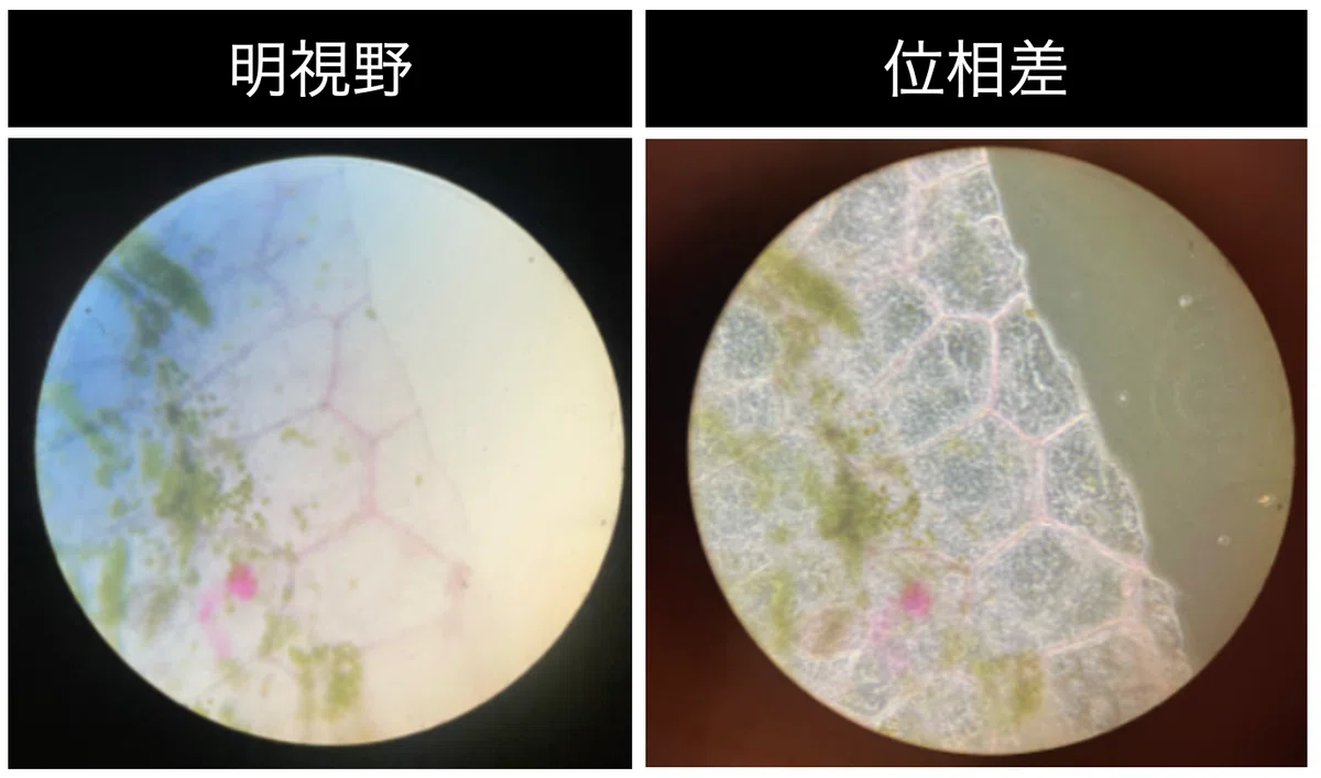 Microscope Use Guid The Microscope Favored by Emperor Showa: Olympus UCE 'Homare' [Engineer ...