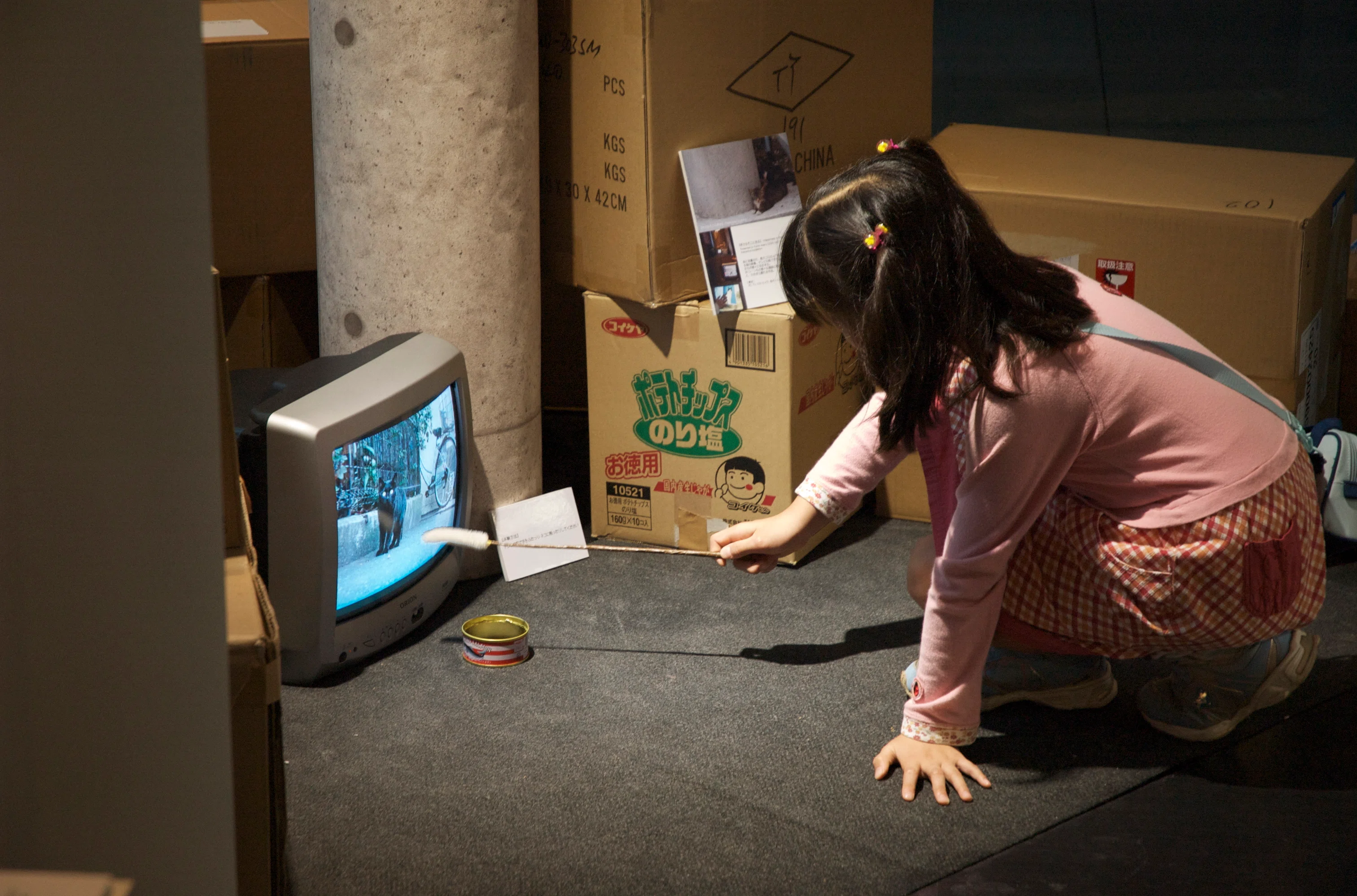 Kohei Asano Asobu Museum mini: A Garden Touching the 'Awai'｜あさのこうへい（浅野 耕平）