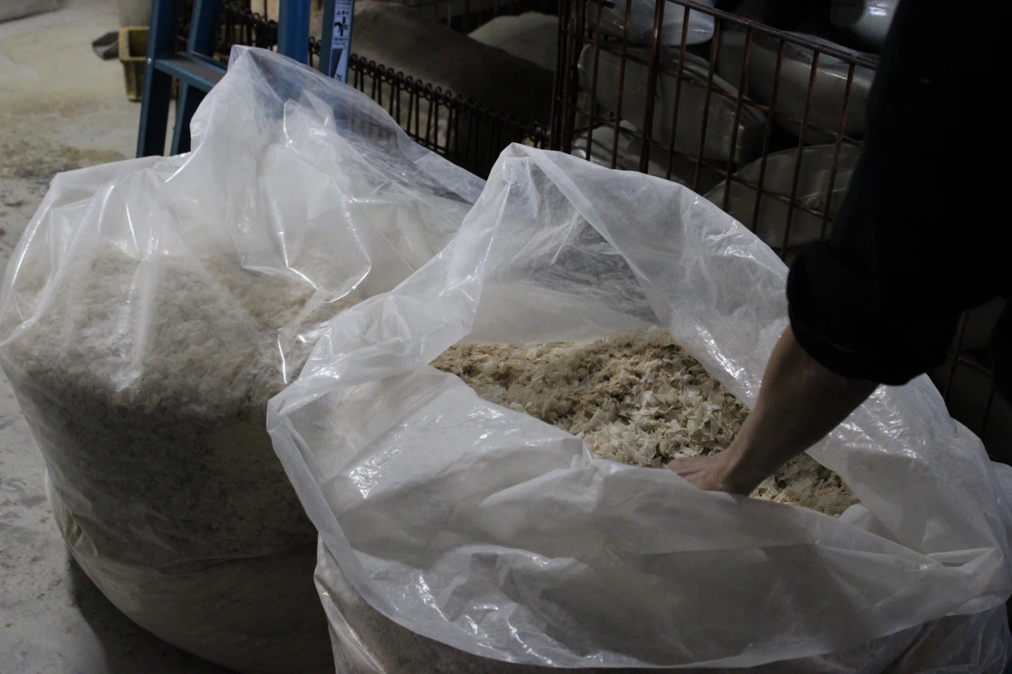 The Truth About the 'Katsuobushi' Found at a Shoe Last Factory—The ...